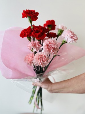 Valentine's Day Carnation Bundle